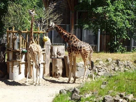 Riga Zoo