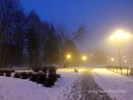 City Park