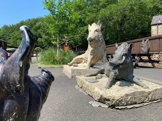 Bowland Wild Boar Park