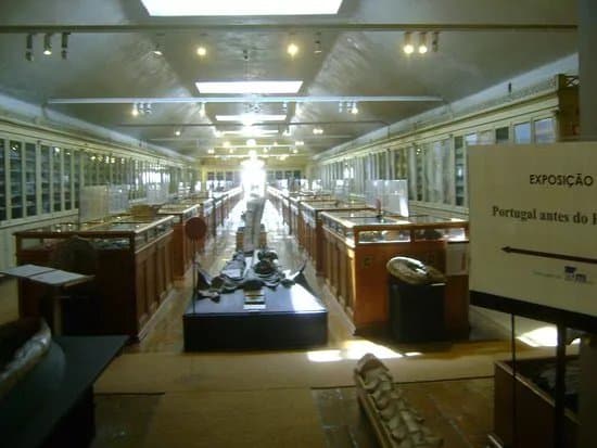 Museu Geologico