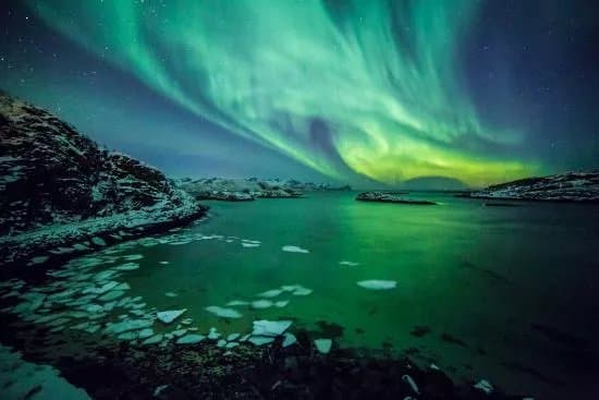 Best Arctic