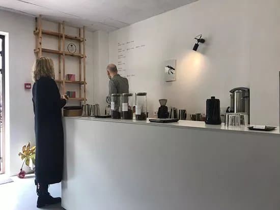 Crooked Nose & Coffee Stories