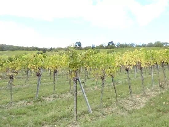 Weinwanderweg