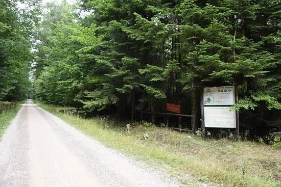 Dalejow Nature Reserve