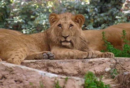 Barcelona Zoo