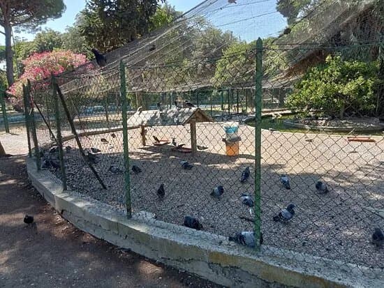 Parco Pertini