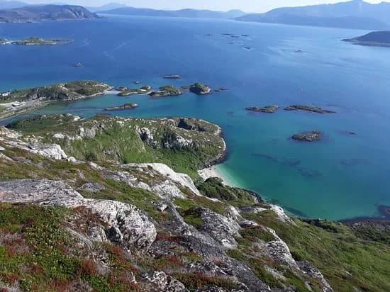 Haaja