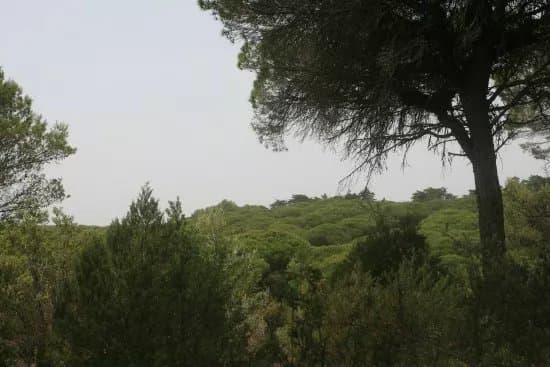 Parque Natural Las Brenas
