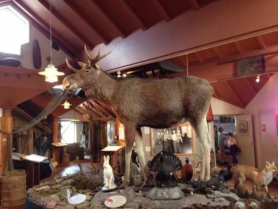 Aland Hunting & Fishing Museum