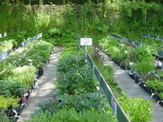Heilooer Forest