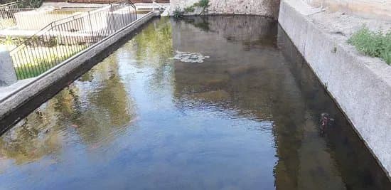 Safareig Public