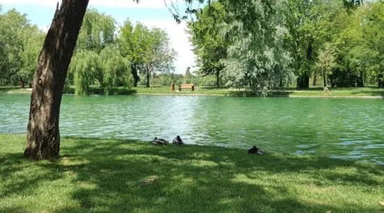 Parcul Central Romulus