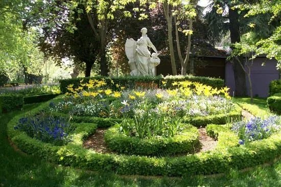 Parque de La Taconera