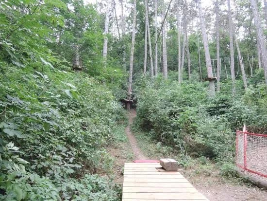 Junglepark - Lanove Centrum