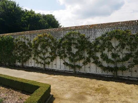 Museumtuin Van Gaasbeek