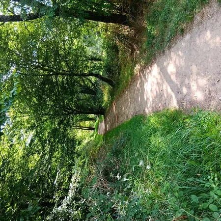 Le Parc De La Gournerie
