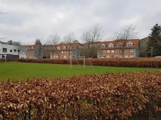 Vifdamanlaegget