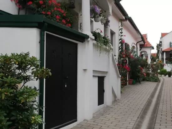 Die Hofgassen von Morbisch am See
