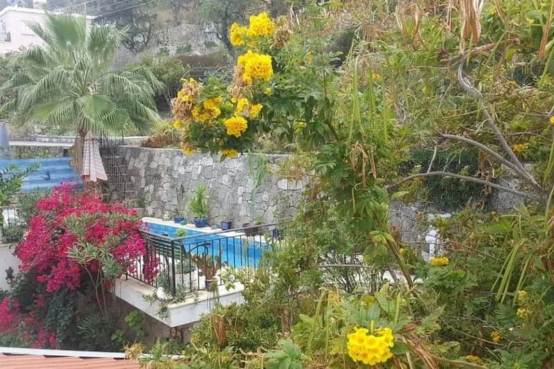Traditional Bellapais House