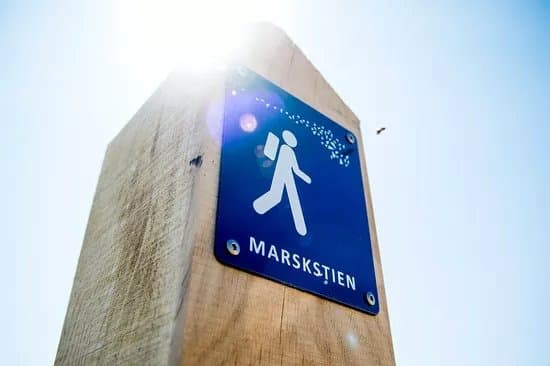 The Marsh Trail