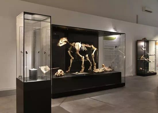 Musee Du Malgre-tout