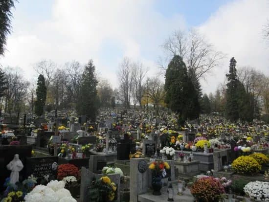 Podgorski Cemetery