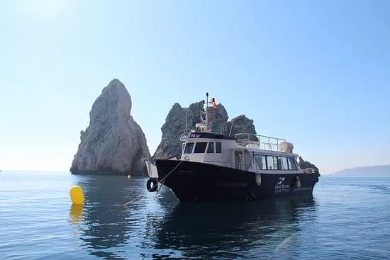 El Rei del Mar