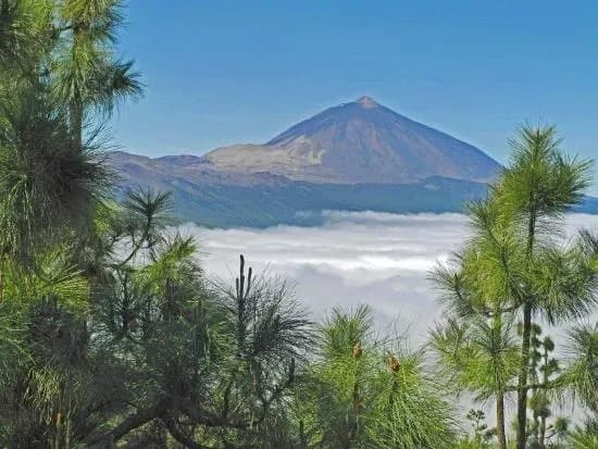 Bosque de Esperanza