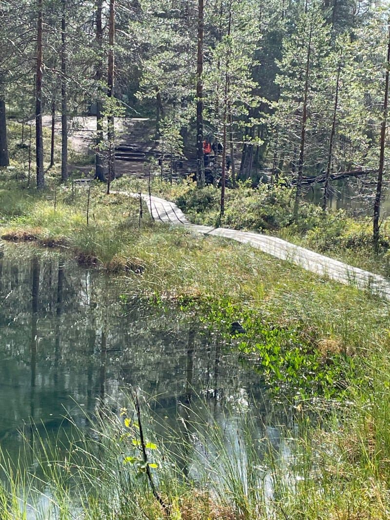 Soiperoinen