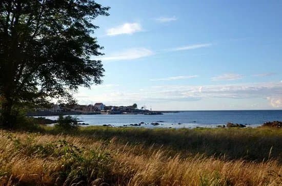 Svaneke Havn