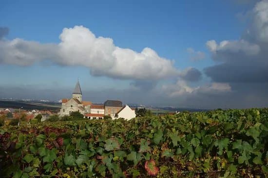 Nomad Wine