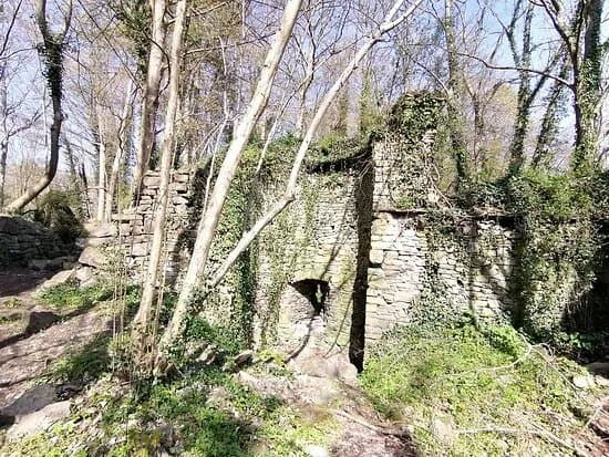Ruines Du Chateau D'ambleve