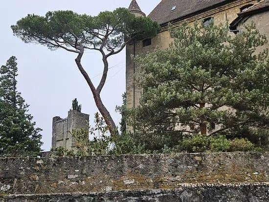 Cite Medievale D'yvoire
