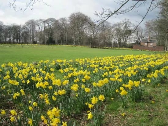 Clarkes Gardens