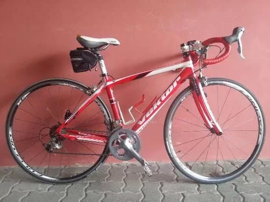cicli leone
