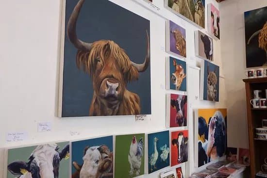 Thuline Studio - Gallery