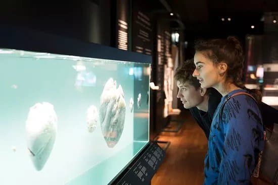 Steno Museum