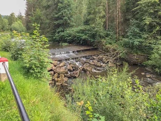 Sciezka Edukacyjna Przy NadleSnictwie Wisla