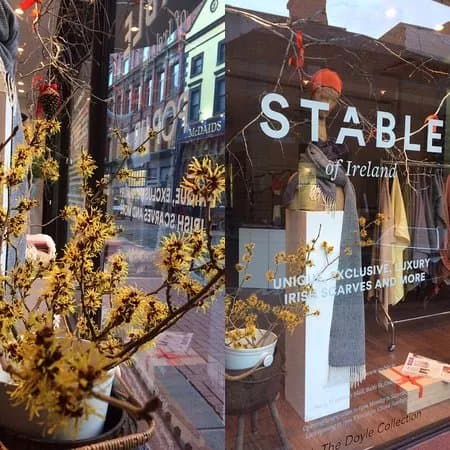 STABLE of Ireland, Dublin City Centre