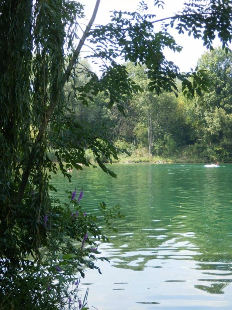 Traisentalerhof - Altenriederer am See