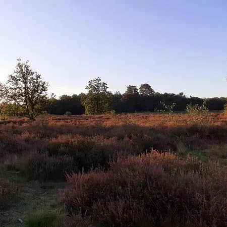 Groendomein Kesselse Heide