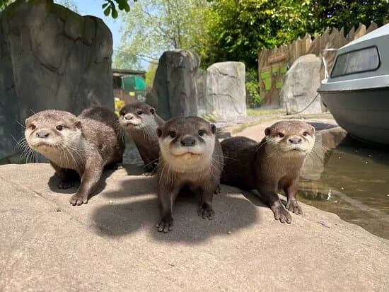 Exotic Zoo Wildlife Park + Natural History & Dino Museum