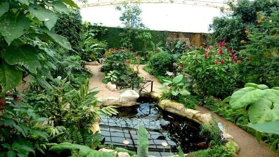 Butterfly Park of Benalmadena