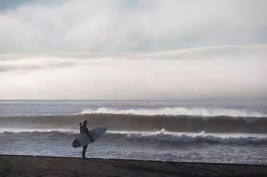 Arctic Surfers