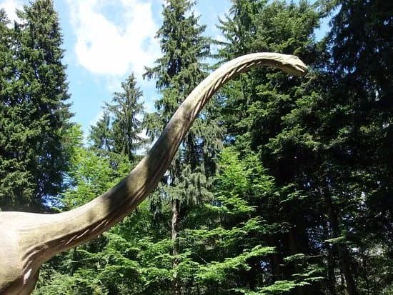 Dinosaur Park