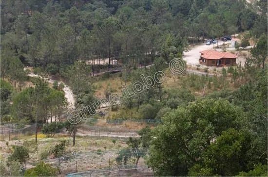 Centro De Recuperacao Do Lobo Iberico