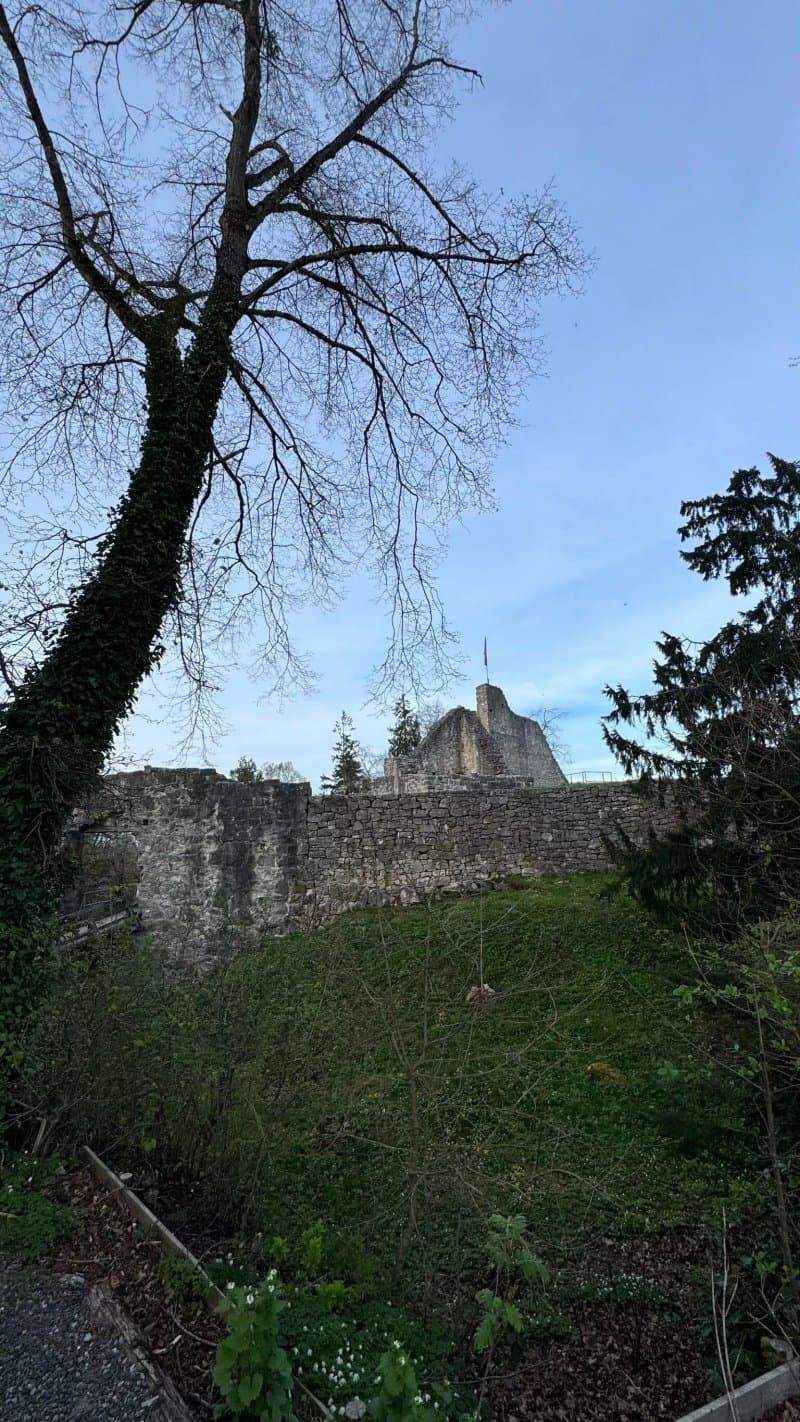 Castle Ruins