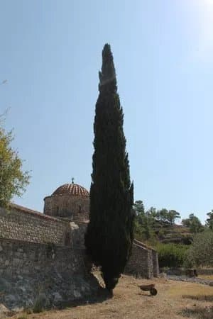 Thari Monastery
