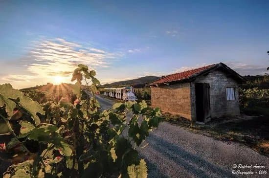 Le Petit Train des Vignes de l'Hermitage