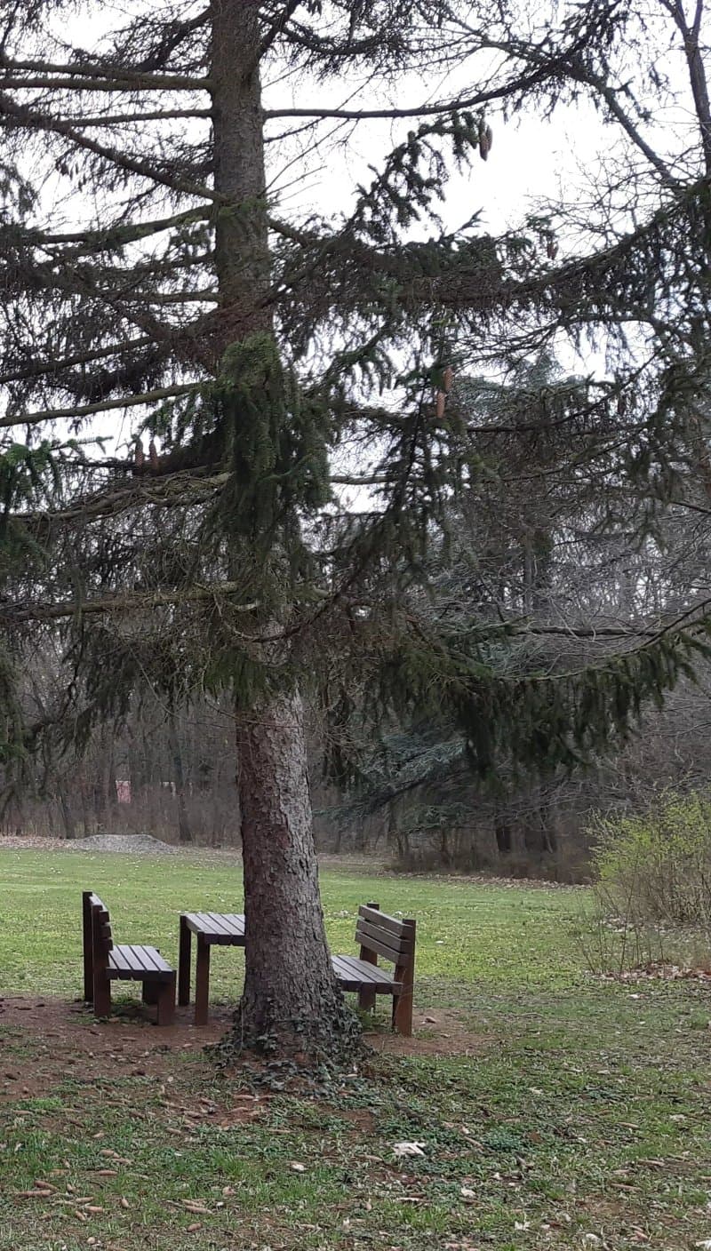 Godollo Arbo Park